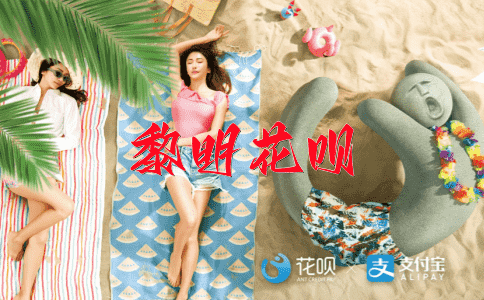 不苟言笑花呗